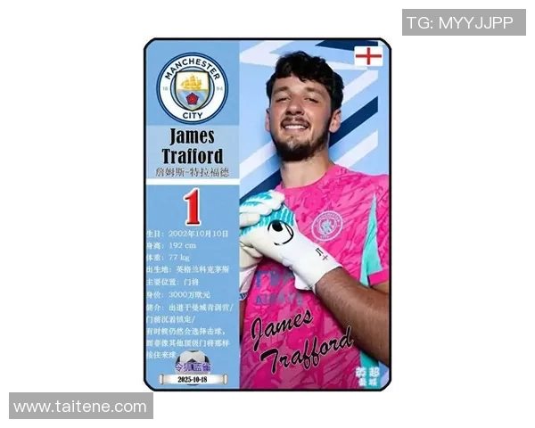 曼城足球明星前十强排名揭晓 谁是蓝月亮的无冕之王